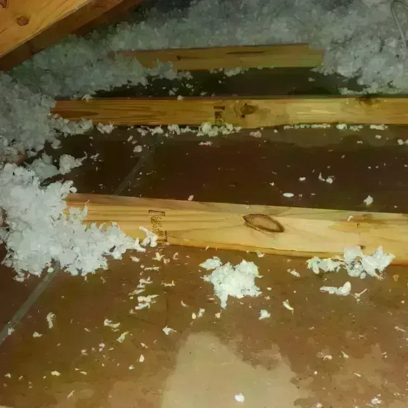 Attic Water Damage in Tucson, AZ